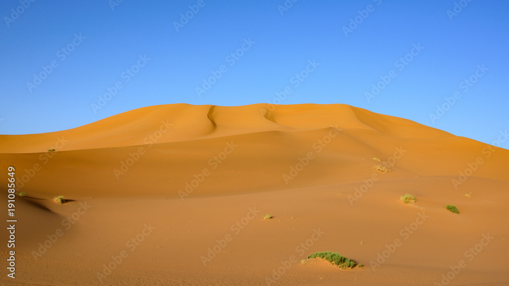 Wydmy Erg Chebbi，撒哈拉，Maroko