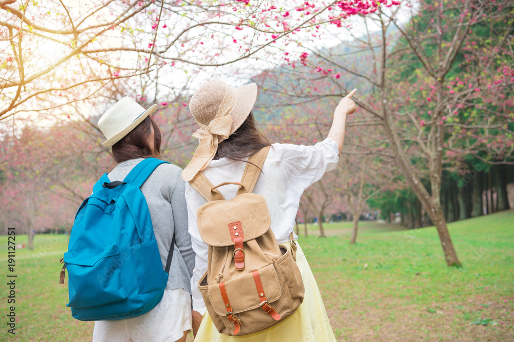 女孩在樱花园旅行的后视照片