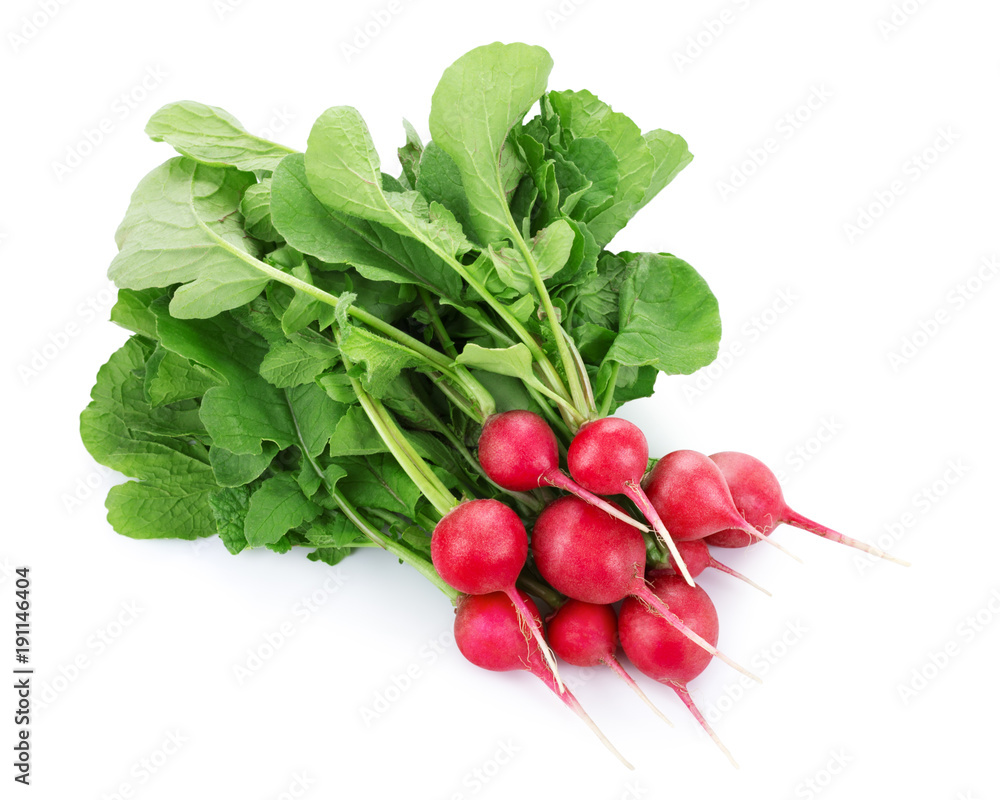 Fresh red radish