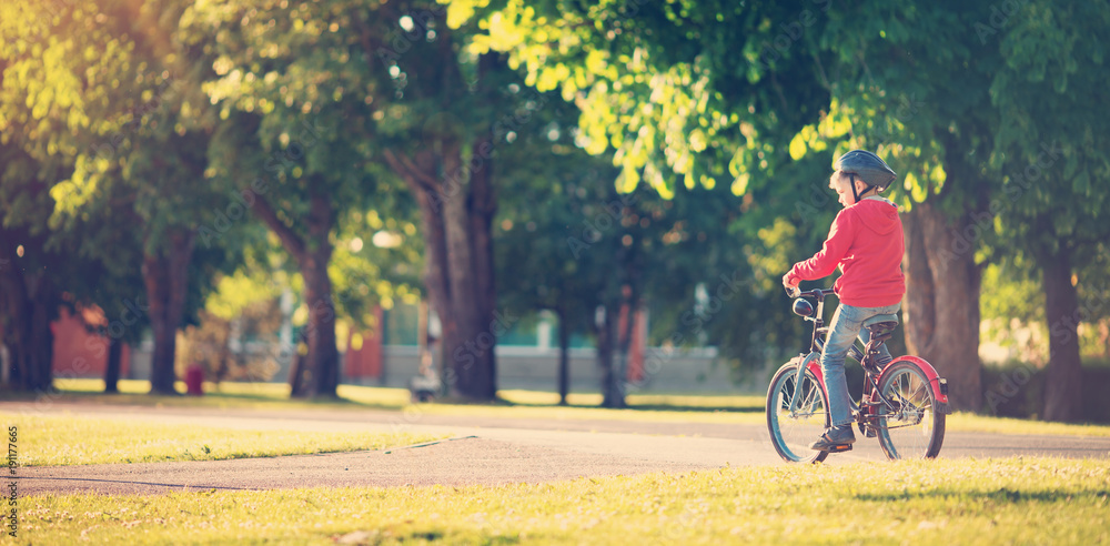 child on a bicycle at asphalt road in summer. Bike in the park. Boy cycling outdoors on beautiful su