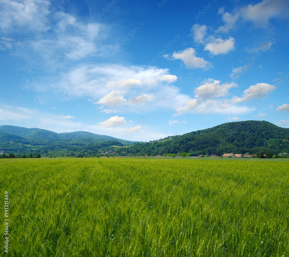 山地景观之夏