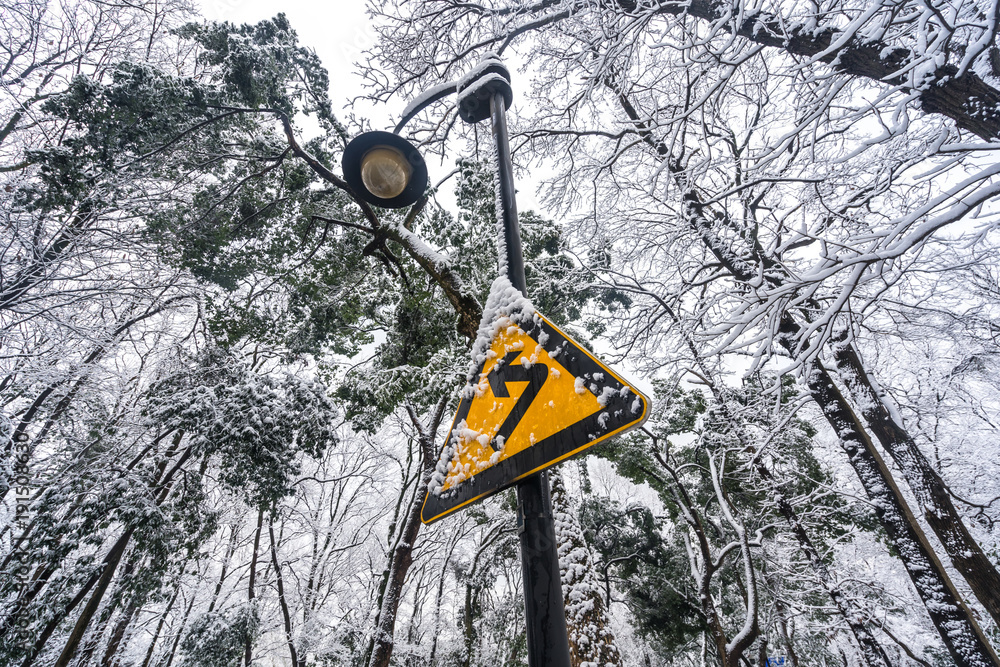 杭州西湖积雪