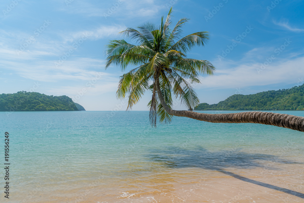 泰国普吉岛夏季海滩海上的椰子树。夏季，旅游，度假和度假公司