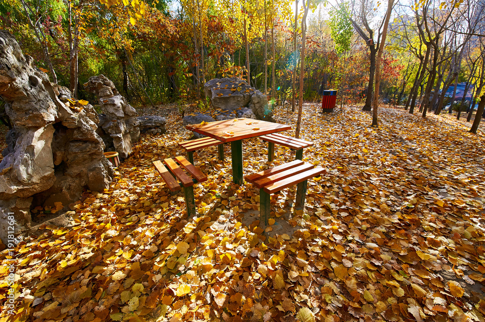 The table and bench on the flallen leaves.