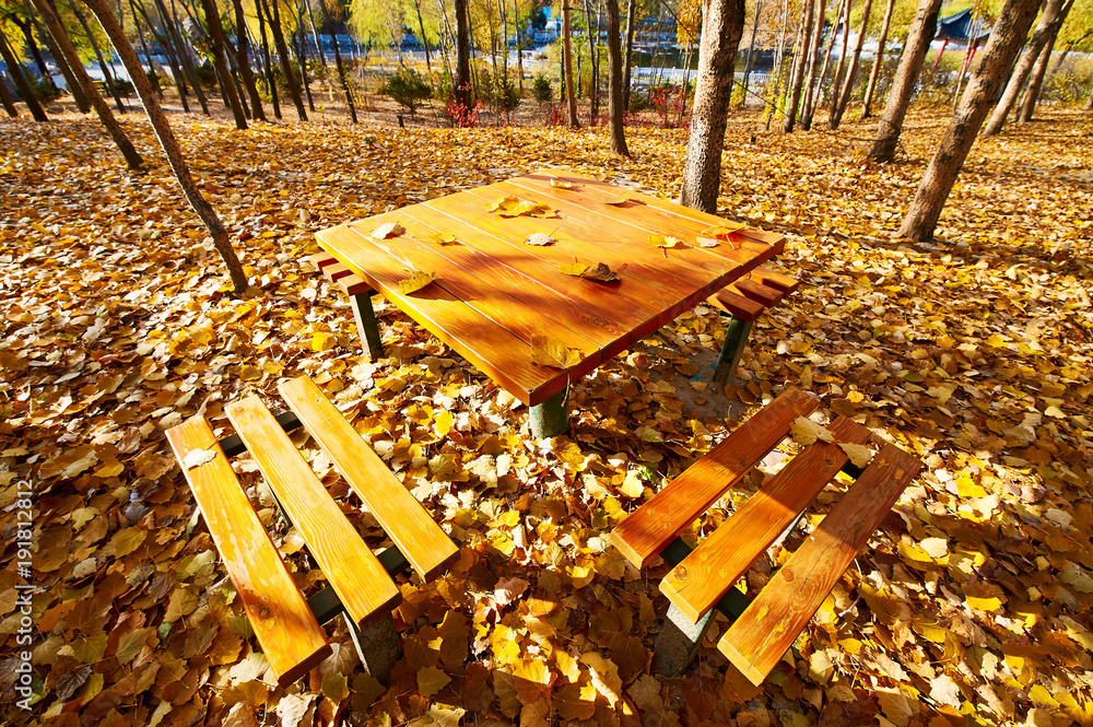 The table and bench on the flallen leaves.