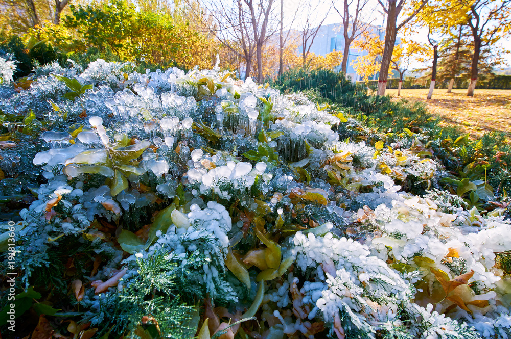 The spraying water frozen in the park.