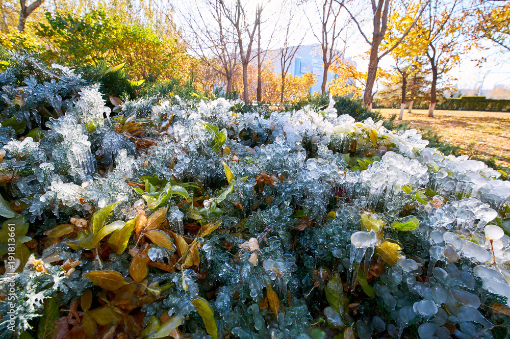 The spraying water frozen in the park.