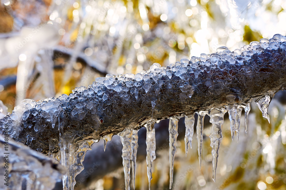 The spraying water frozen in the park.