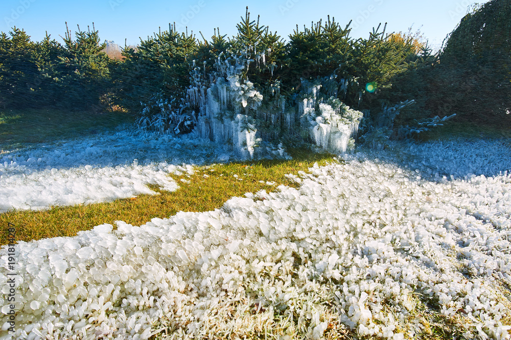 The spraying water frozen in the park.