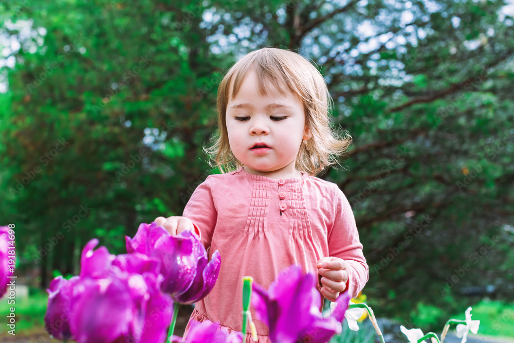 Toddler girl playing with tulips outside in spring