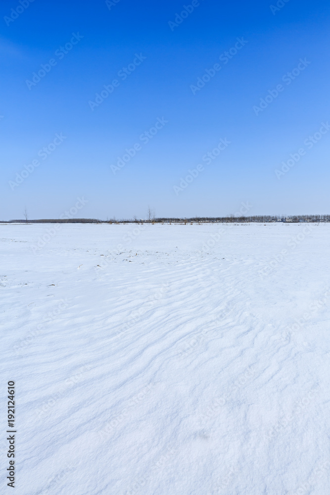 蓝天下的乡村农田白雪