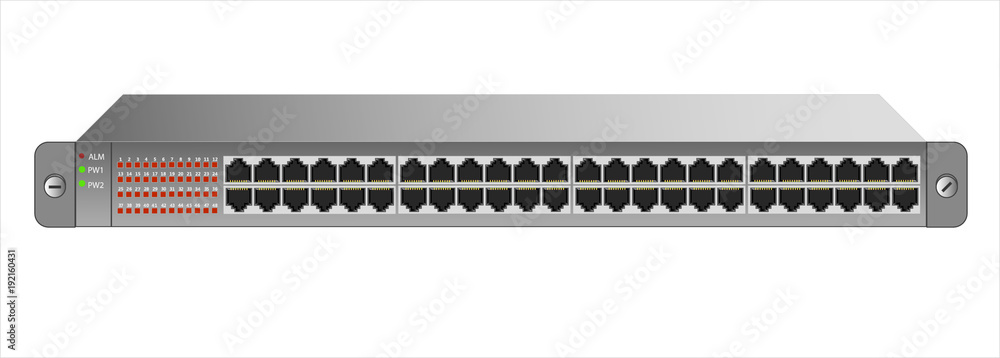 用于安装带有48个端口的19英寸机架的以太网交换机。矢量图。