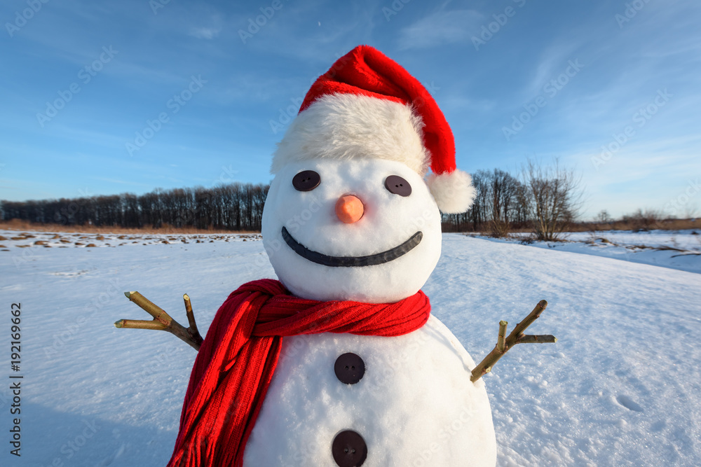 雪地上戴着圣诞老人帽、长着红色鳞片的有趣雪人。圣诞快乐，新年快乐！