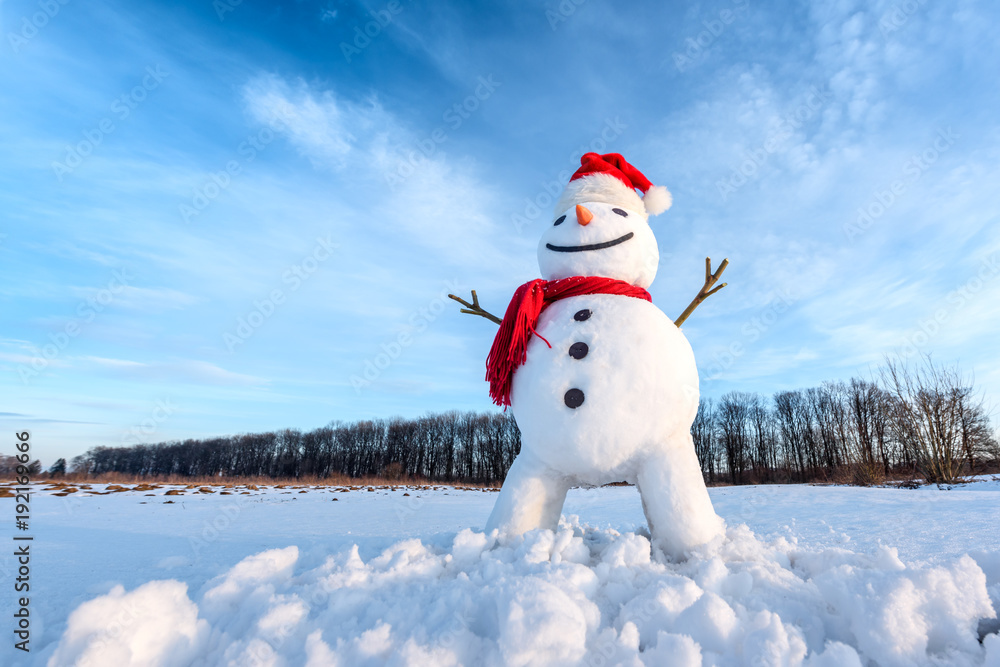 雪地上戴着圣诞老人帽、长着红色鳞片的有趣雪人。圣诞快乐，新年快乐！