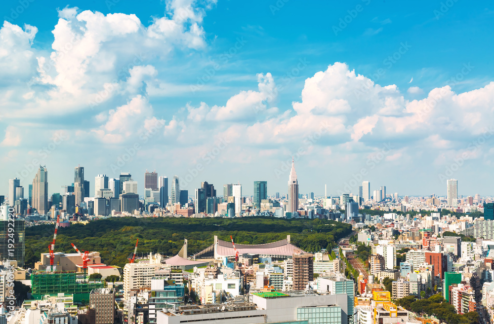 View of the Shinjuku skyline from Shibuya, Tokyo, Japan