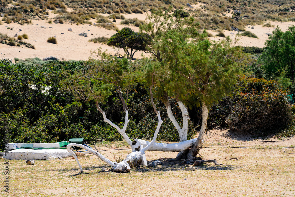 Zatoka Balos, Kreta, Grercja