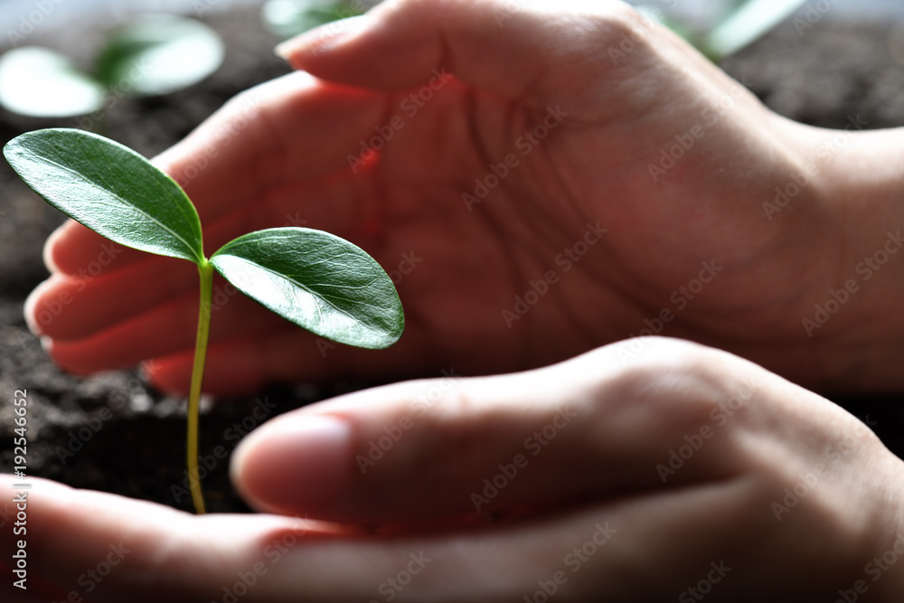 牵着手，呵护一株绿色的年轻植物