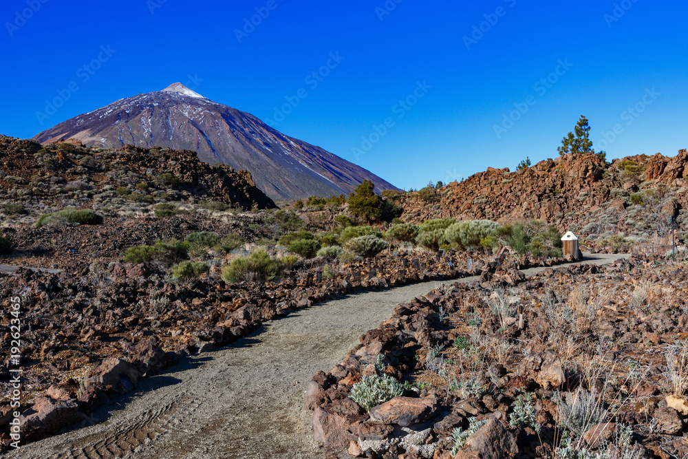 Wulkan Teide, Teneryfa, Wyspy Kanaryjskie