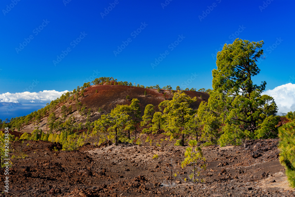 Krajobraz pod wulkanem Teide, Teneryfa, Wyspy Kanaryjskie