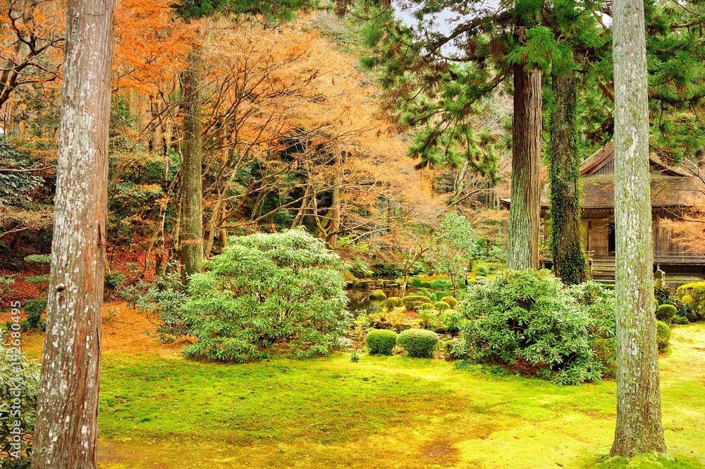 秋の三千院庭園