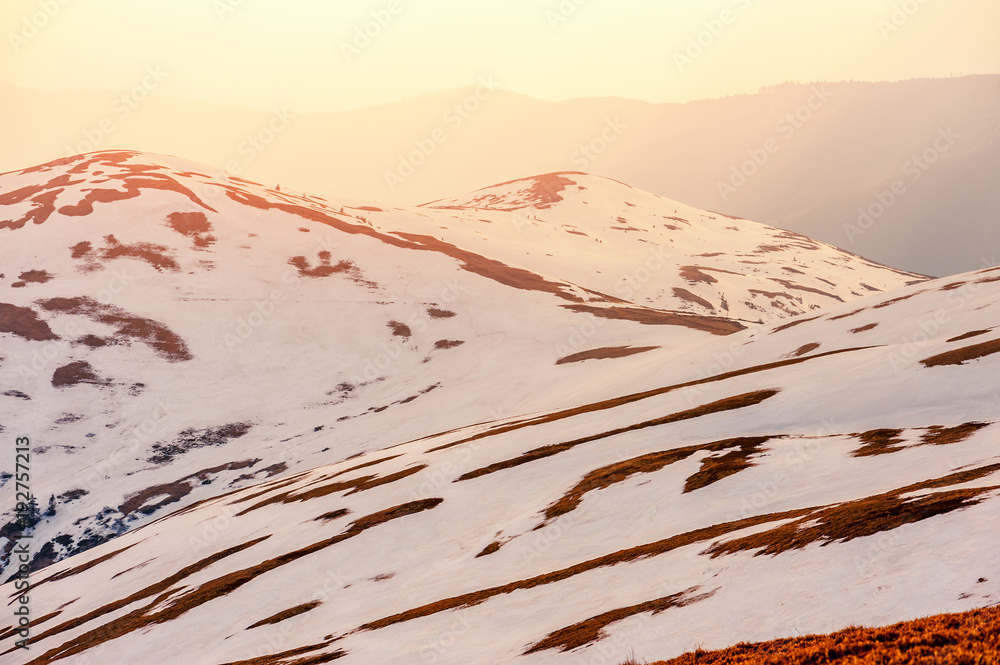 美妙的春天景观，雪山在傍晚的阳光下闪闪发光。喀尔巴阡山。Tra