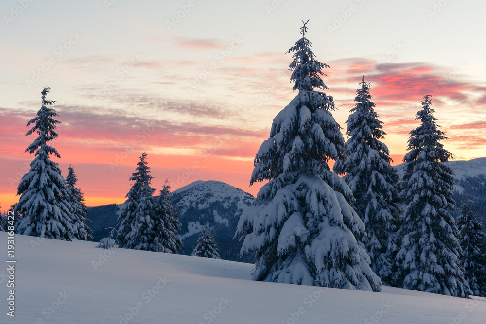 阳光照耀下的雪山中令人惊叹的橙色冬季景观。戏剧性的冬季场景