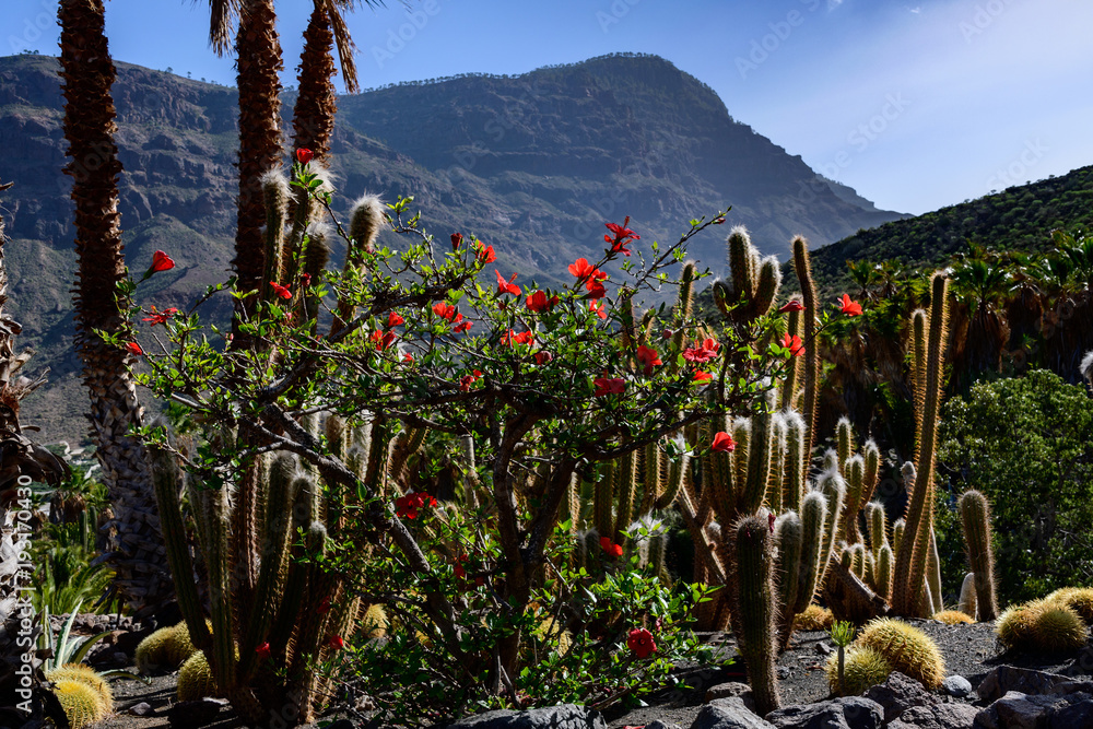 Cactualdea Park, Gran Canaria