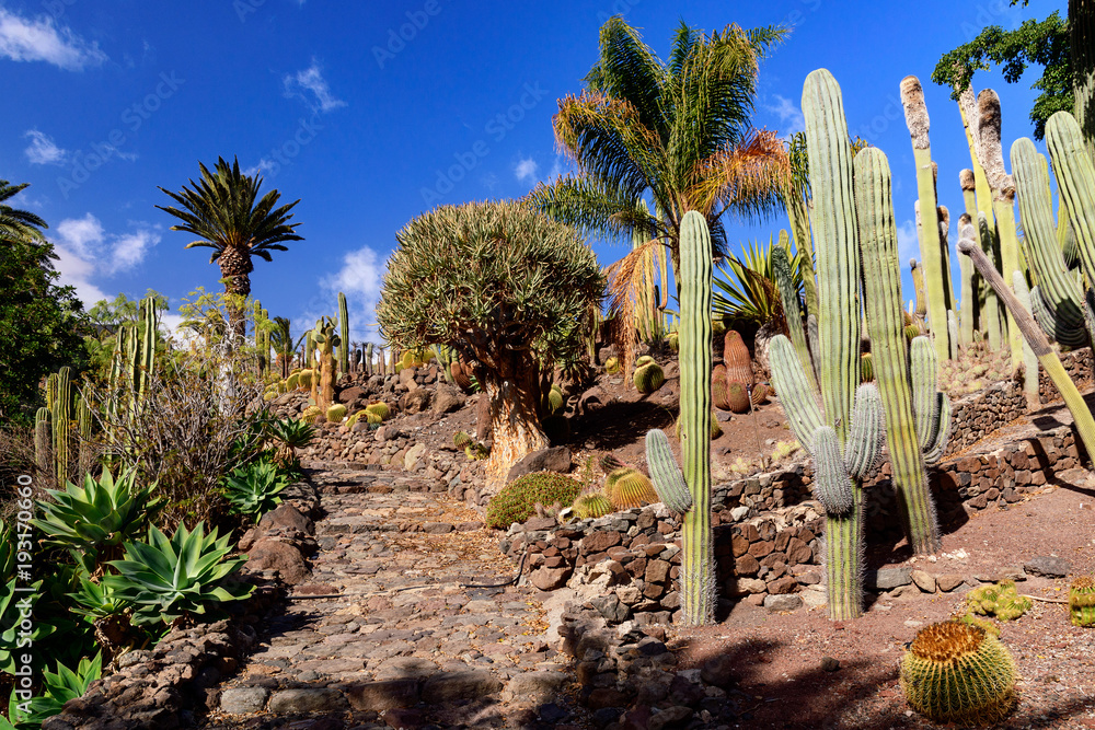 Cactualdea Park, Gran Canaria