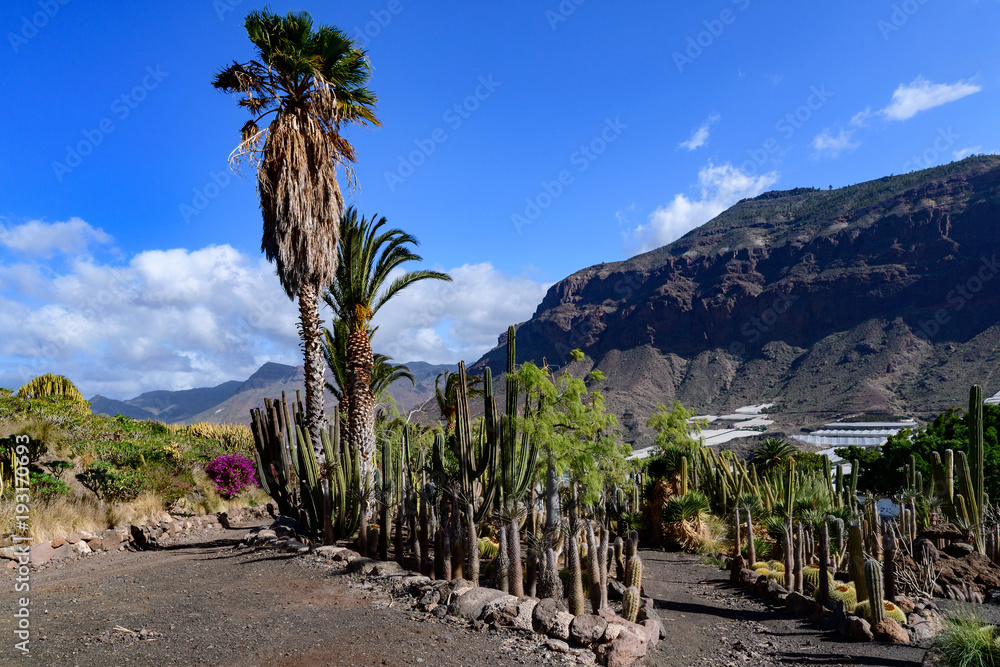 Cactualdea Park, Gran Canaria