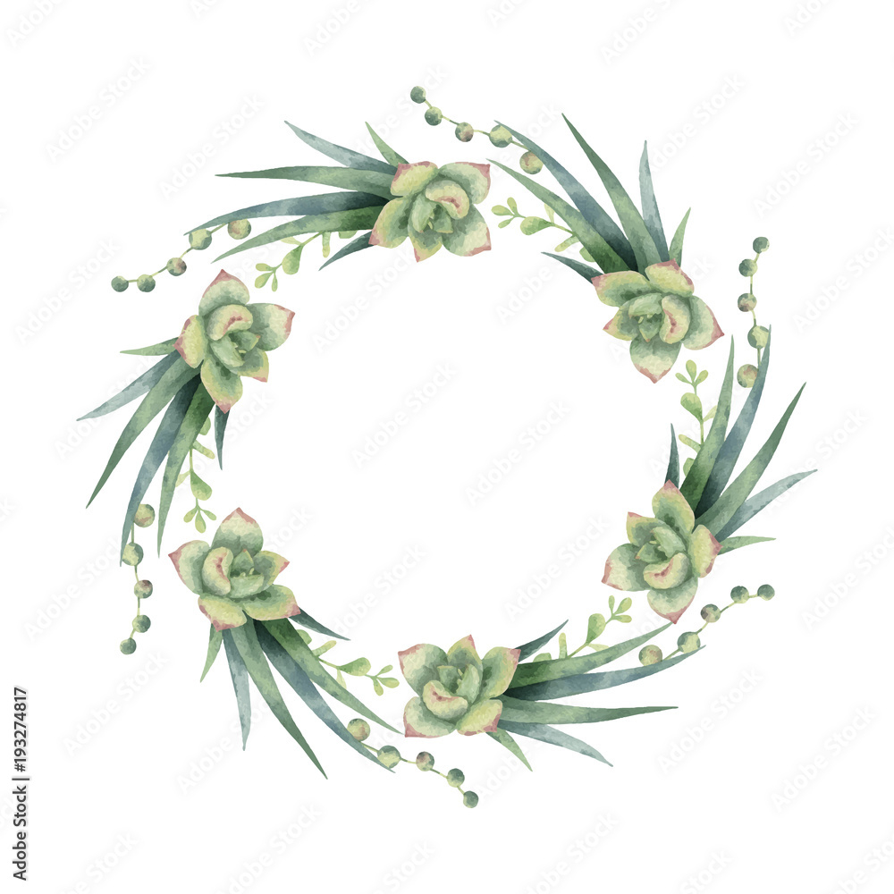 Watercolor vector wreath of cacti and succulent plants isolated on white background.