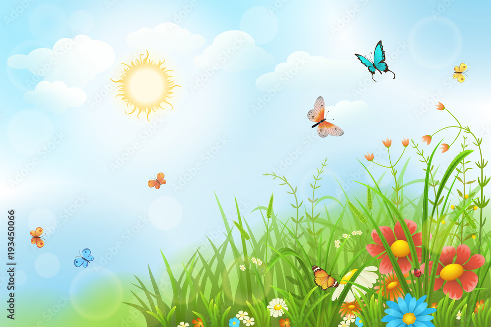 Summer sunny meadow with green grass, flowers and butterflies