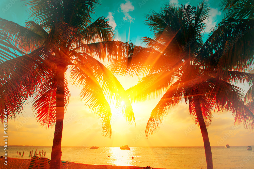 Sunset beach with tropical palm tree over beautiful sky. Palms and beautiful sky background. Tourism