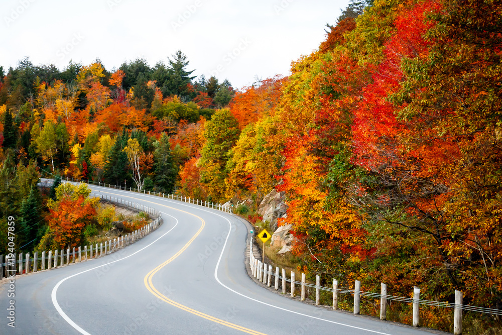 秋季道路