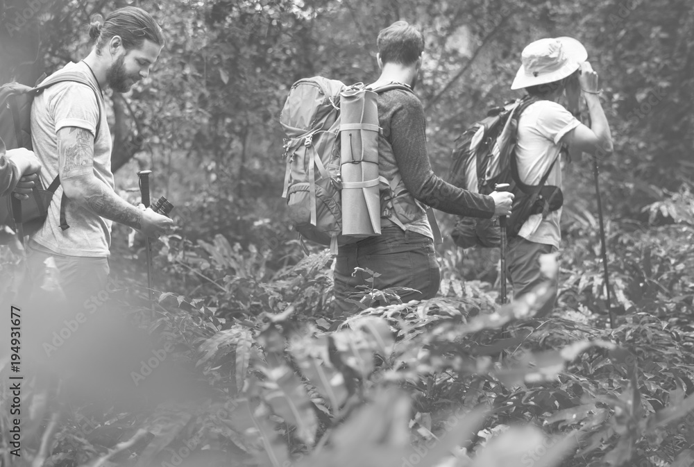 Trekking in a forest