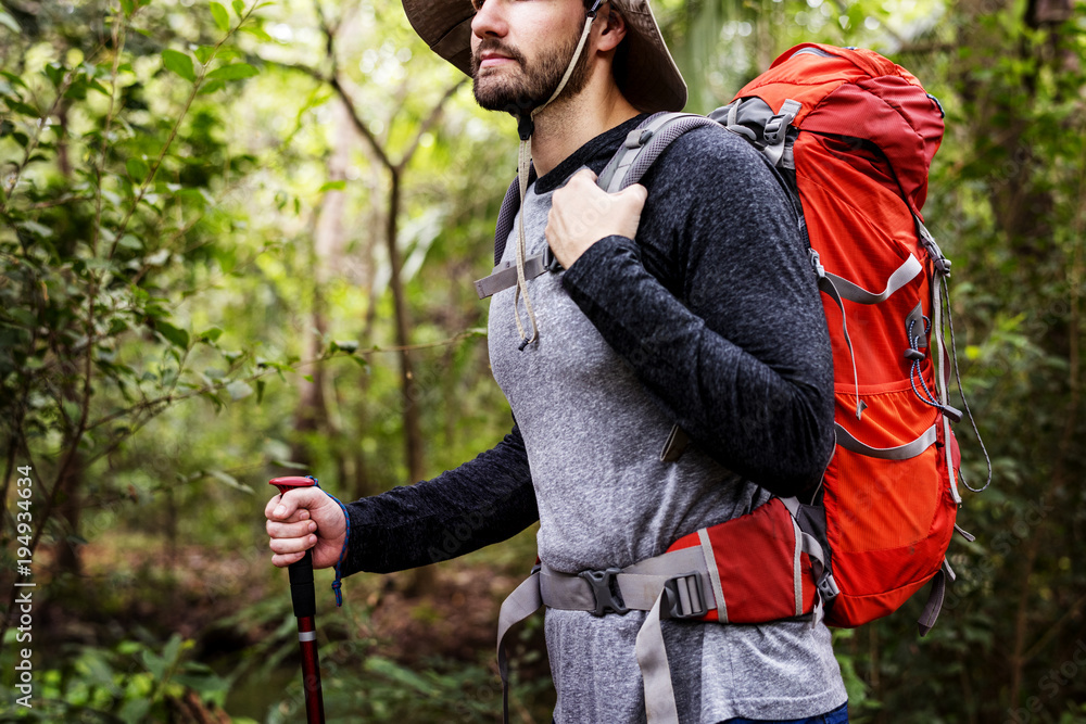 Trekking in a forest