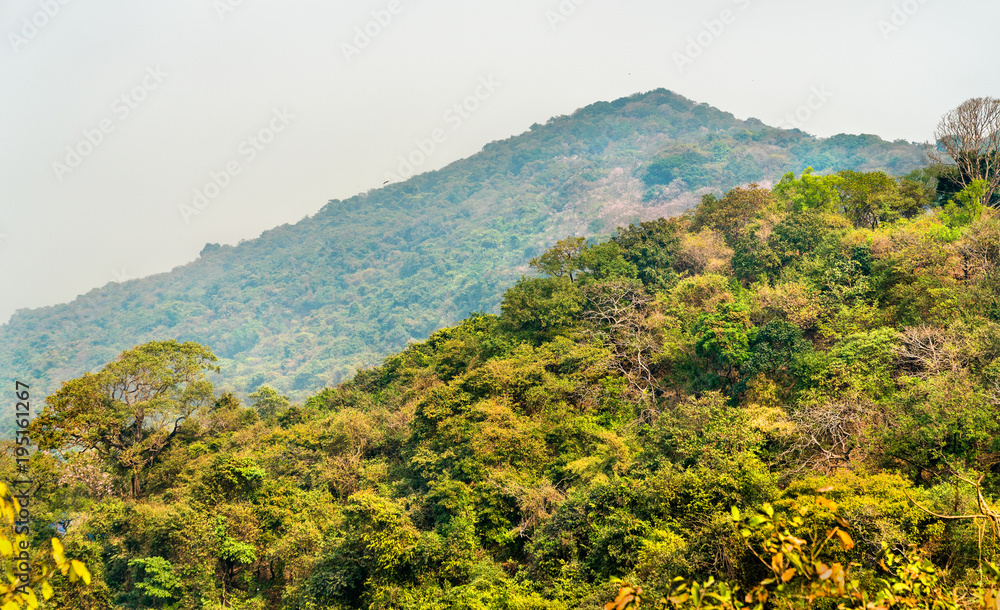 Landscape of Elephanta Island in Mumbai Harbour, India