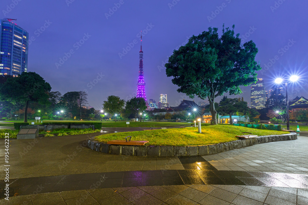 日本夜晚公园里的东京塔