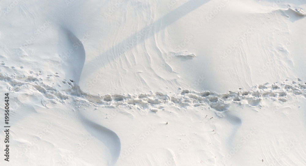 Footprints in the snow at sunny day.