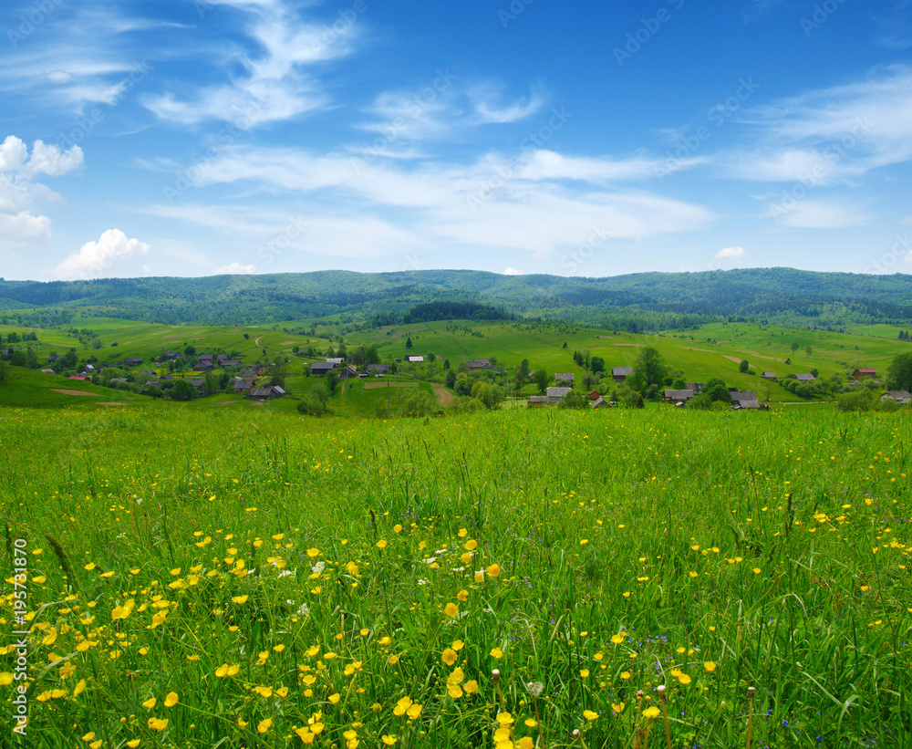 山地景观之夏