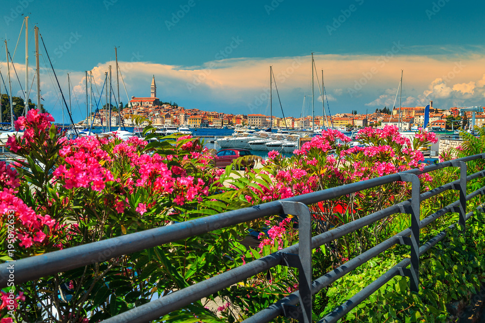 Amazing cityscape with Rovinj old town, Istria region, Croatia, Europe