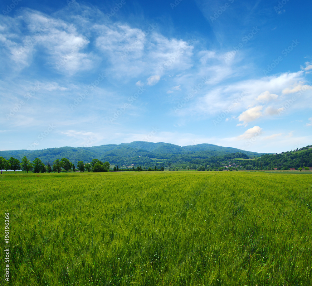 山地景观之夏