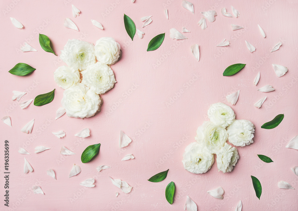 Floral background composition. Flat-lay of white ranunculus flowers, petals and leves over light pin