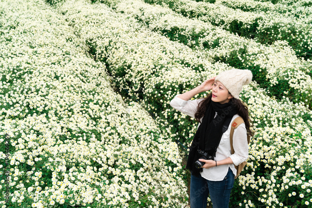 女人站在盛开的菊花地里