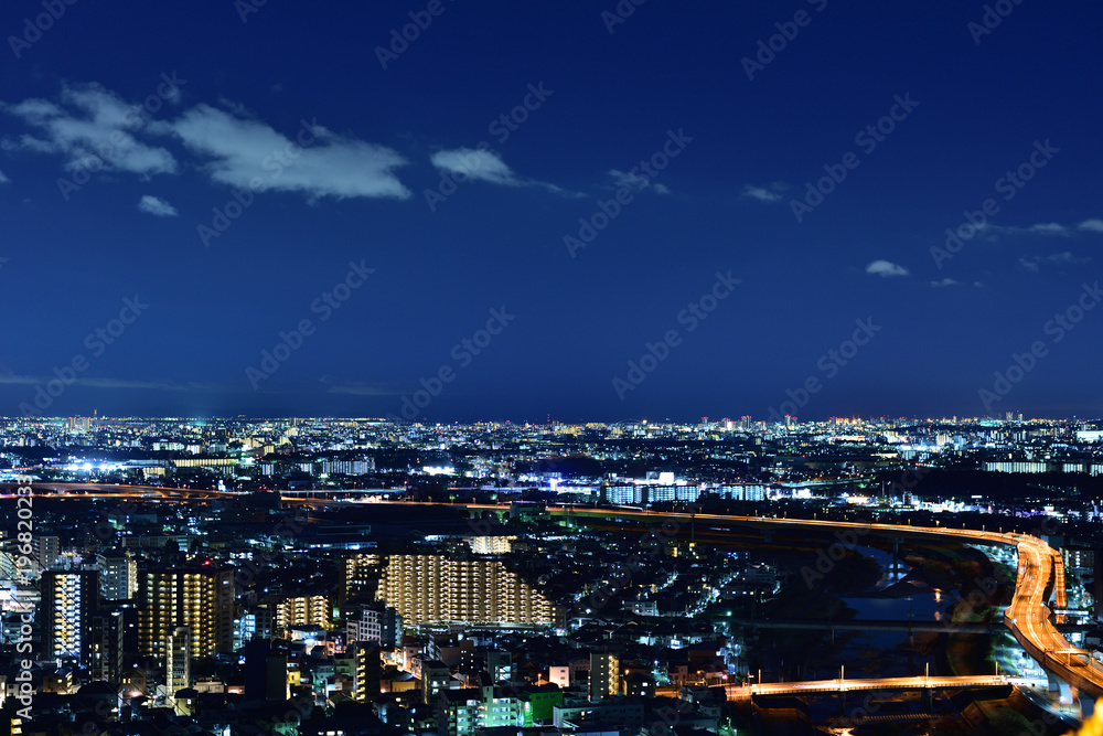 五月山から見る夜景