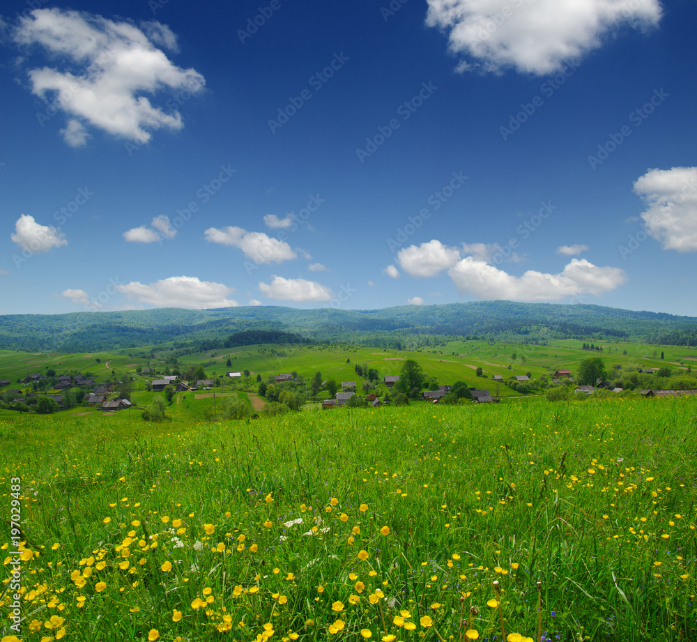 山地景观之夏