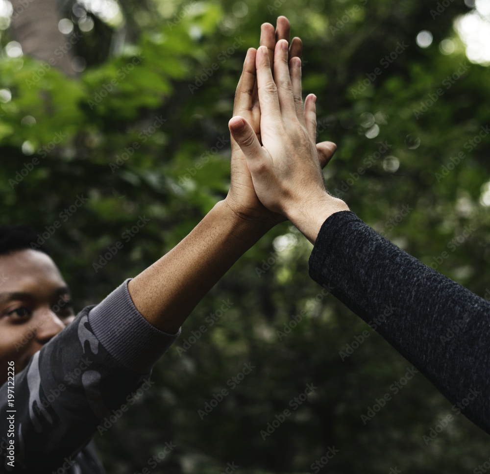 High five in the forest