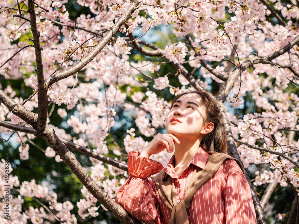 身穿红色衬衫的美丽年轻中国女孩在樱花树上微笑的户外肖像