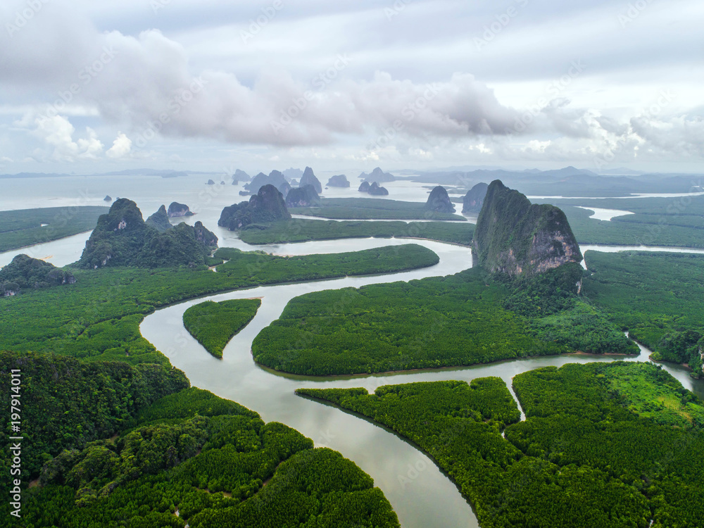 顶视图树，美丽的背景，鸟瞰图，红树林，天然草纹理，模糊