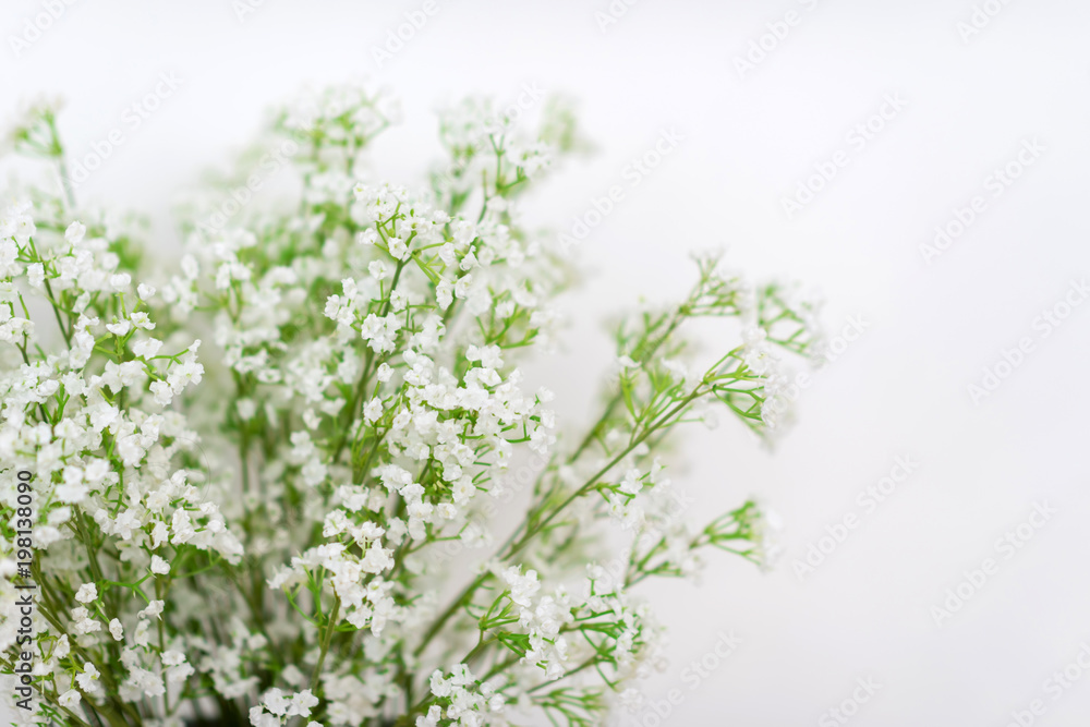 White flowers background