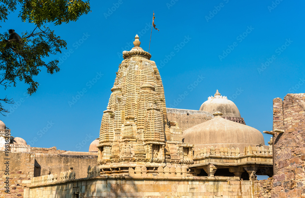 Rana Ratan Singh Mahal, a palace at Chittorgarh Fort - Rajastan, India